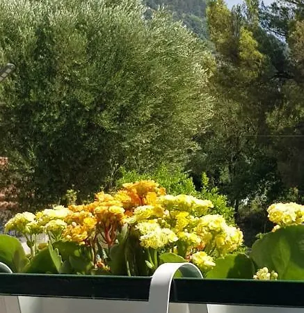 Casa Mara & Casa Tea Maratea