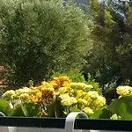 Mara & Tea Maratea
