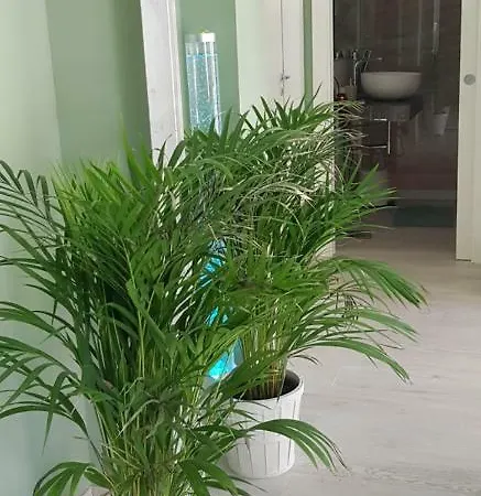 Appartamento Casa Mara & Casa Tea