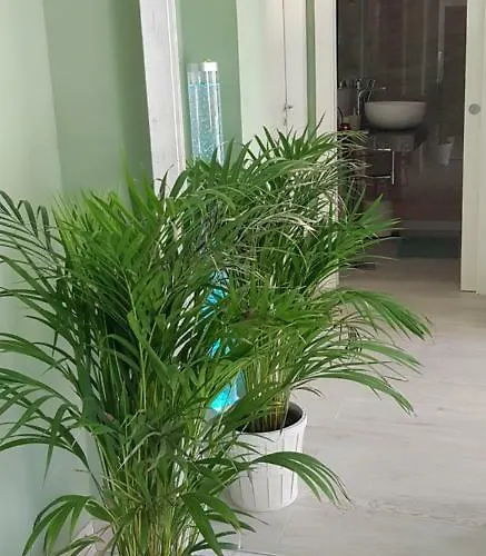 Appartamento Mara & Tea